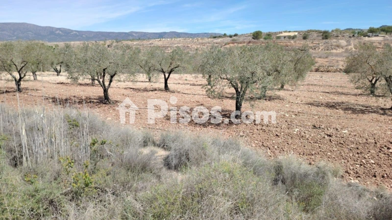Terreno en venta en Casas Juan Blanco