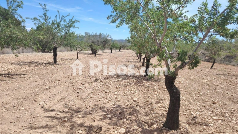 Terreno en venta en Casas del Señor