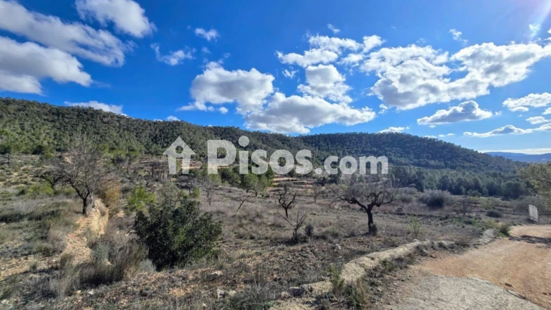 Terreno en venta en Monóvar
