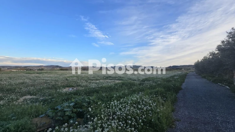 Terreno en venta en Pedanías Este