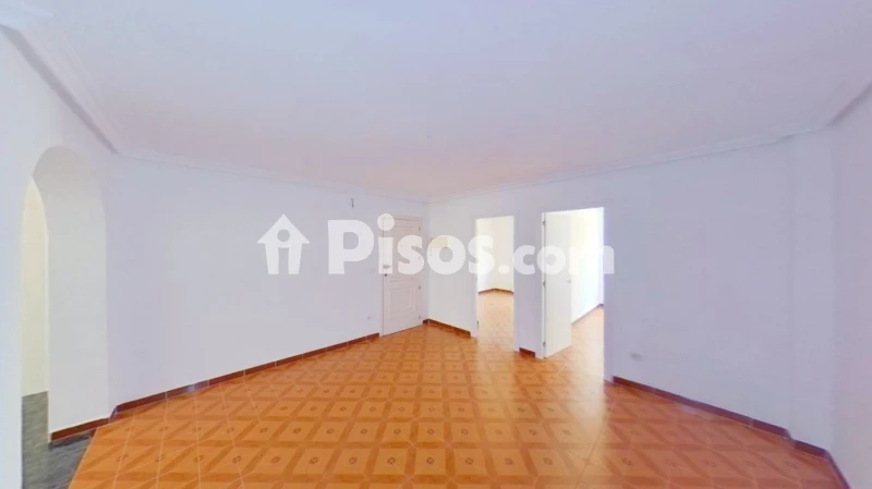 Pis – Elx - Elche