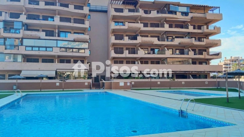 Pis – Elx - Elche
