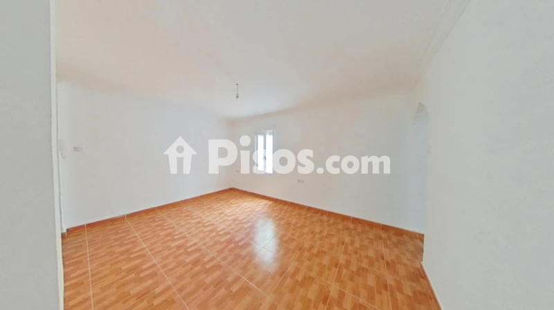 Pis – Elx - Elche