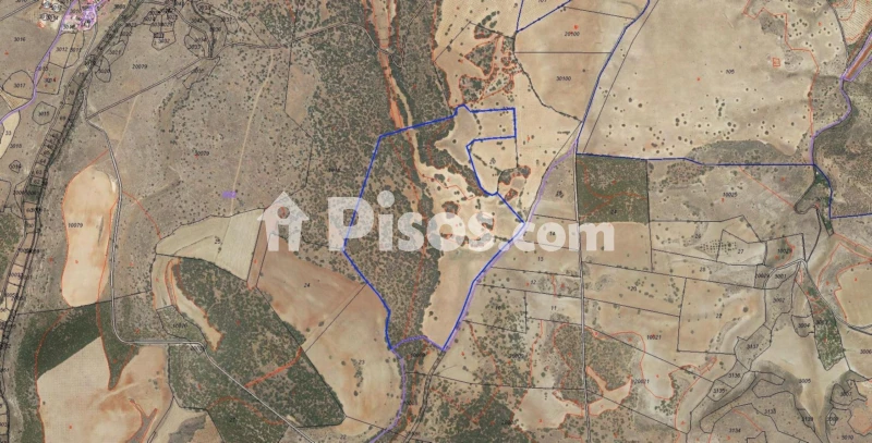 Finca rústica en venta en Alcaraz, Alcaraz