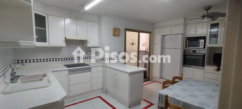 Piso – Elche/Elx, Pataes, el Baix Vinalopó