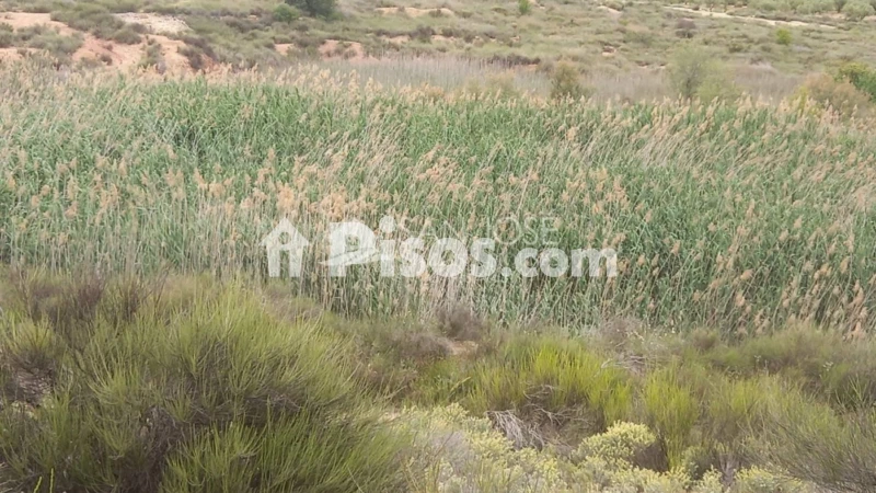 Terreno en venta en Carretera de Monóvar