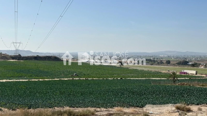 Terreno en venta en Elche - Elx