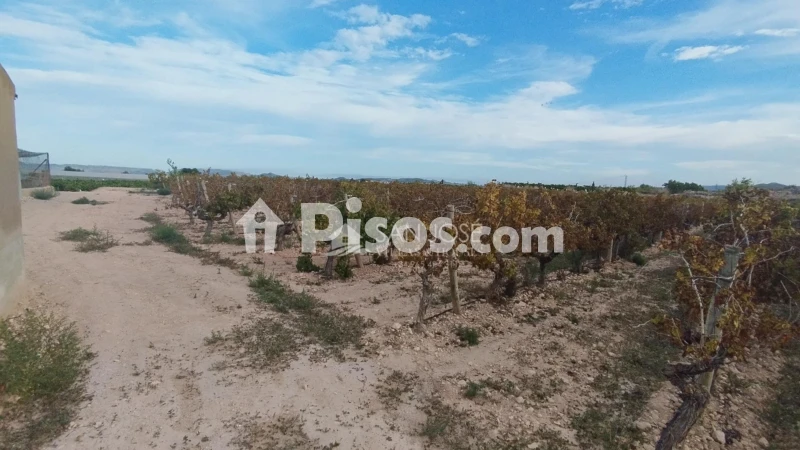 Terreno en venta en Comunidad Valenciana