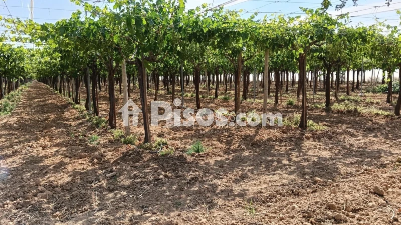 Terreno en venta en Alcaná