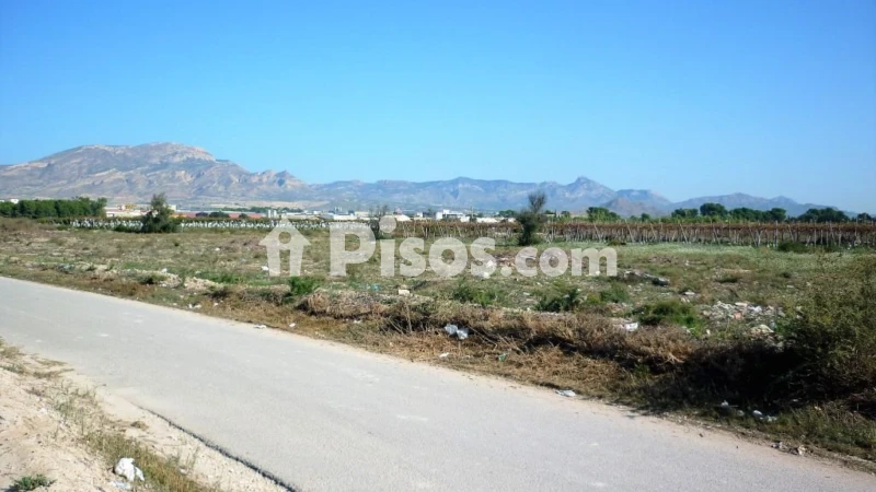 Terreno en venta en Camino de Elche