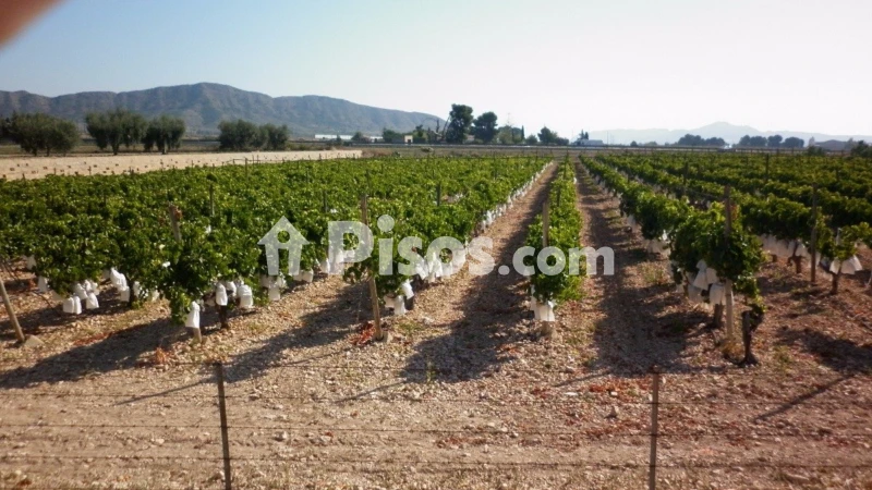 Terreno en venta en El Pla