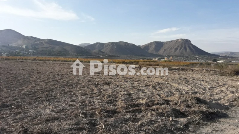 Terreno en venta en Aspe
