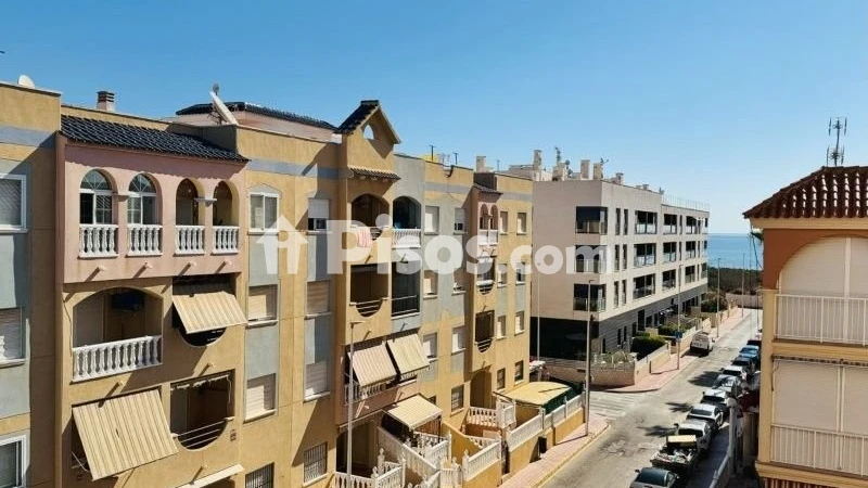 Pis – Torrevieja