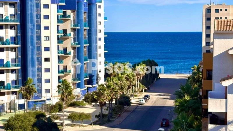 Pis – Torrevieja