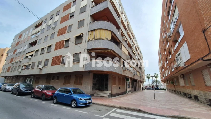 Pis – Torrevieja