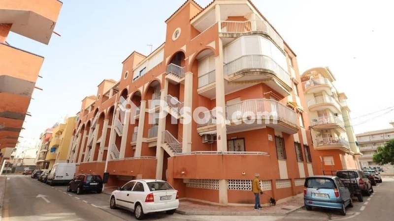 Pis – Torrevieja