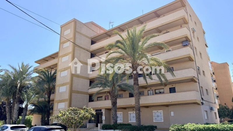Piso – Guardamar del Segura