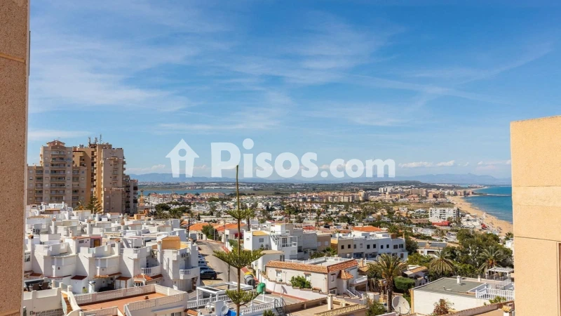 Pis – Torrevieja