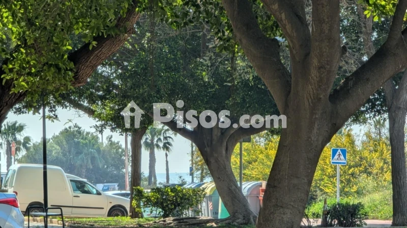Piso – Torrevieja, San Roque
