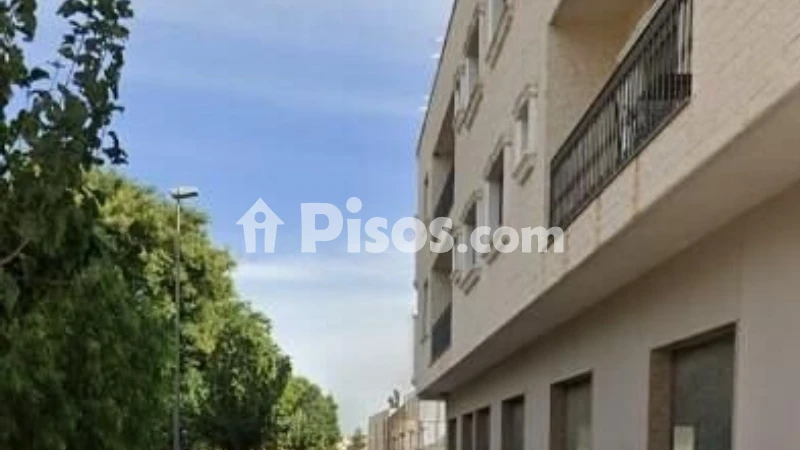 Pis – Bigastro