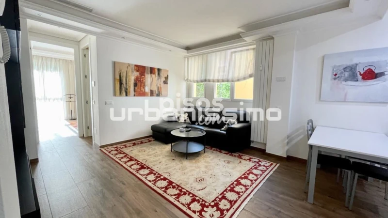 Apartamento en alquiler en Paseo de la Castellana