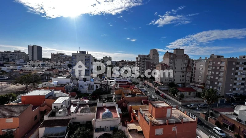 Pis – Torrevieja
