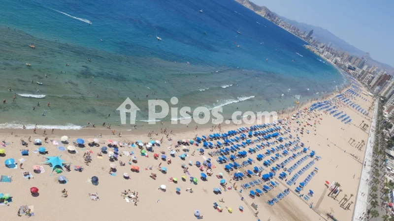 Pis – Benidorm