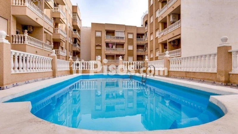 Pis – Torrevieja