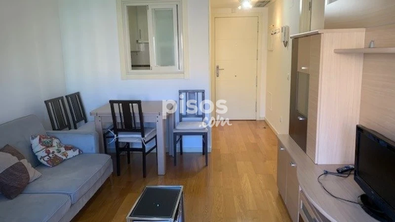 Piso en alquiler en Avenida del Euro