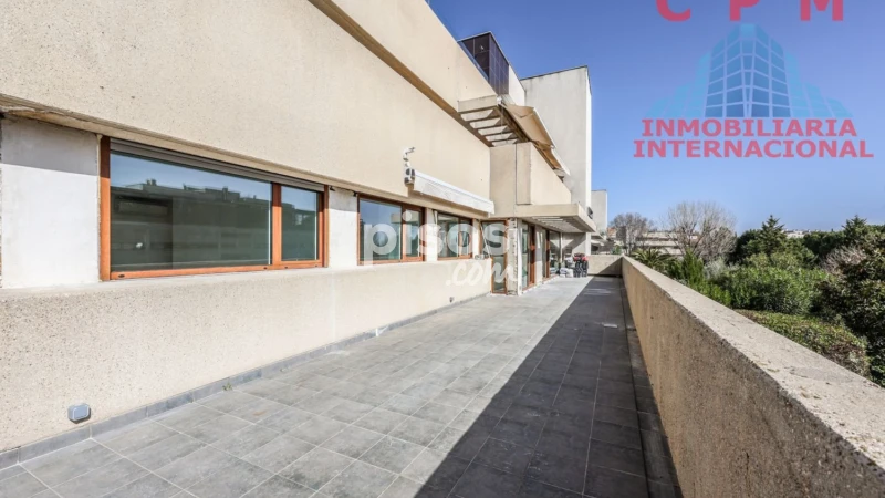 Piso en alquiler en Valdebebas-Valdefuentes