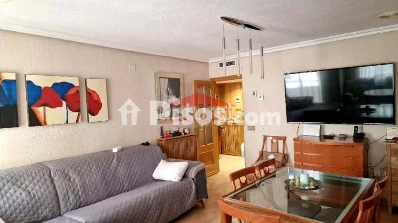 Piso – Albacete, La Pajarita