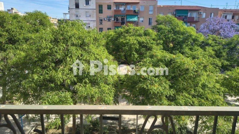 Pis – Alicante - Alacant