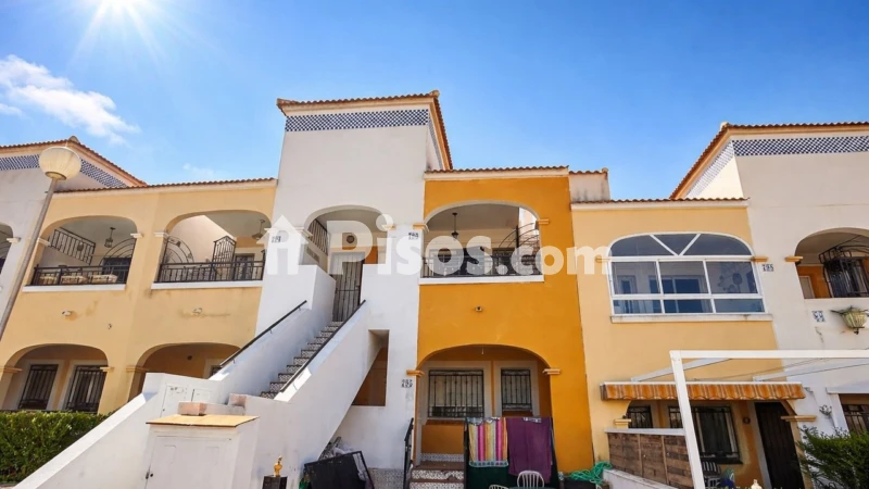 Pis – Torrevieja
