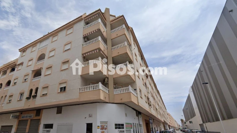 Pis – Torrevieja