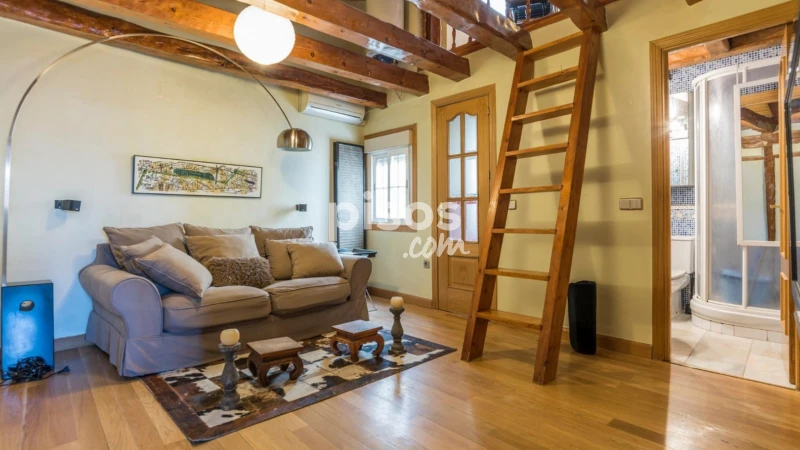 Ático en alquiler en Calle de los Cañizares