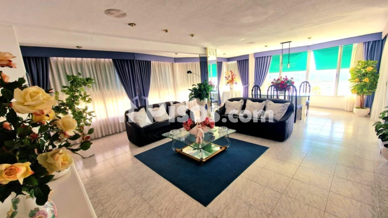 Piso – Benidorm