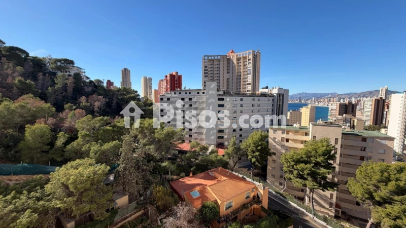 Pis – Benidorm