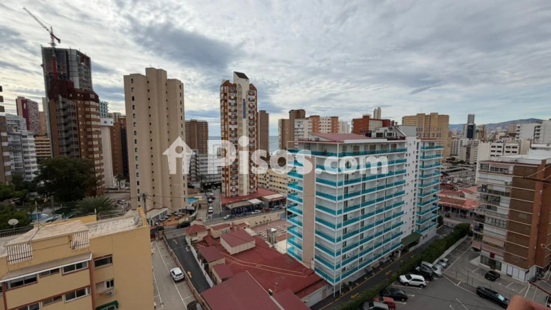 Pis – Benidorm