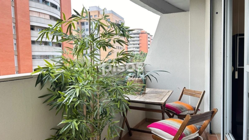 Piso en alquiler en Jardines de Hércules, Bellavista (Distrito Bellavista-La Palmera. Sevilla Capital) de 900 €<span>/mes</span>