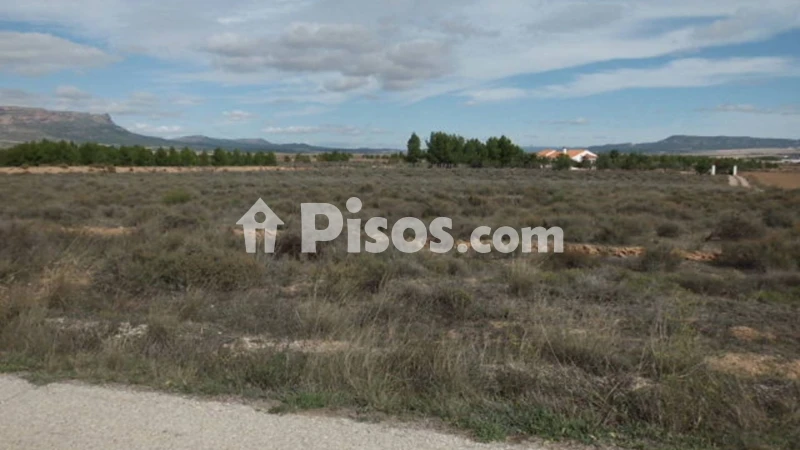 Terreno en venta en Almansa