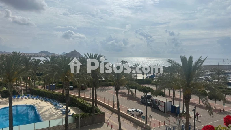 Fotografía del inmueble reportado: 1.000 €/mes — Murcia, Murcia