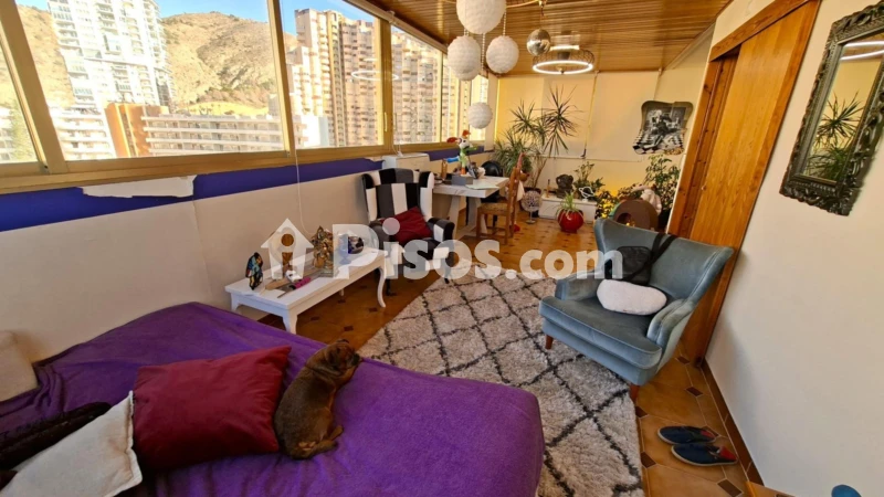 Piso – Benidorm