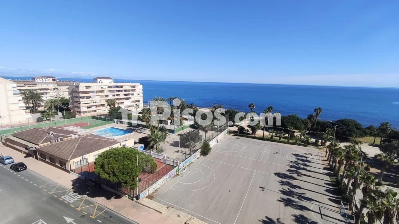 Pis – Torrevieja
