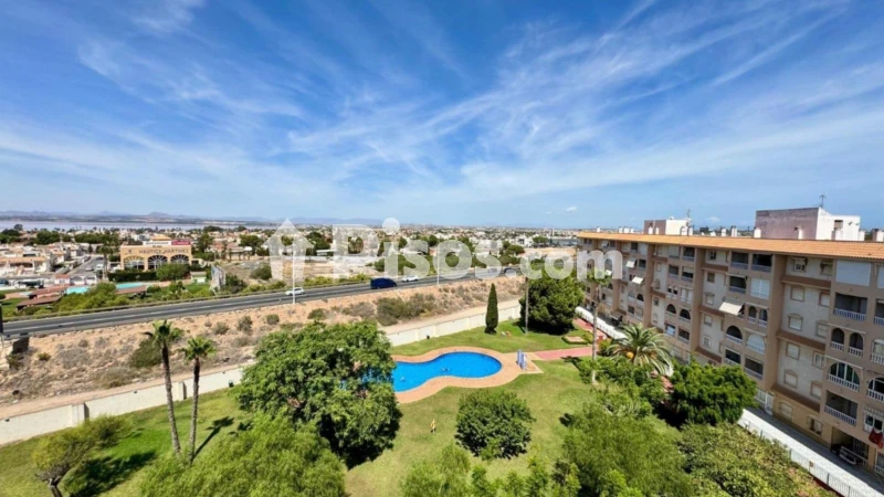 Pis – Torrevieja