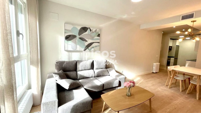 Apartamento en alquiler en Avenida de Alberto Alcocer