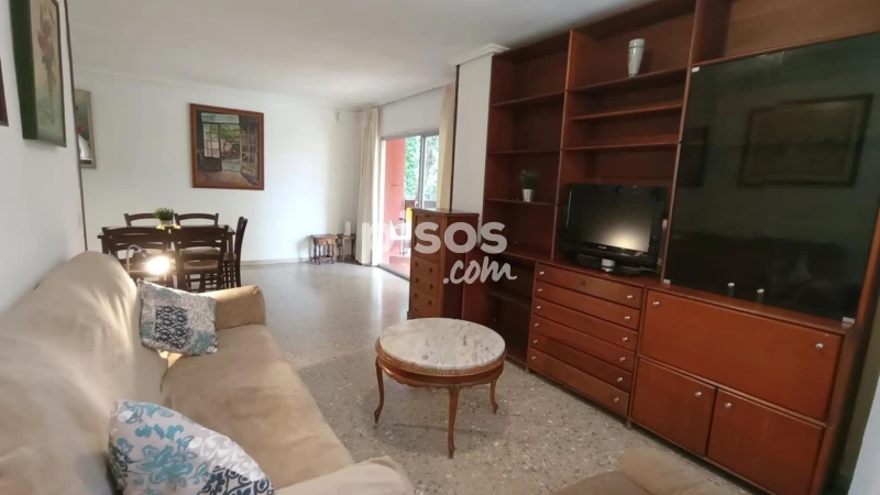 Piso en alquiler en Calle Palancia