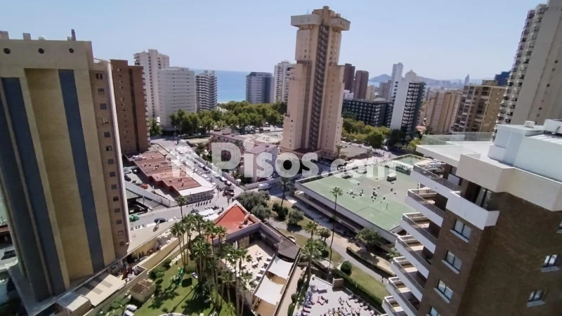 Pis – Benidorm