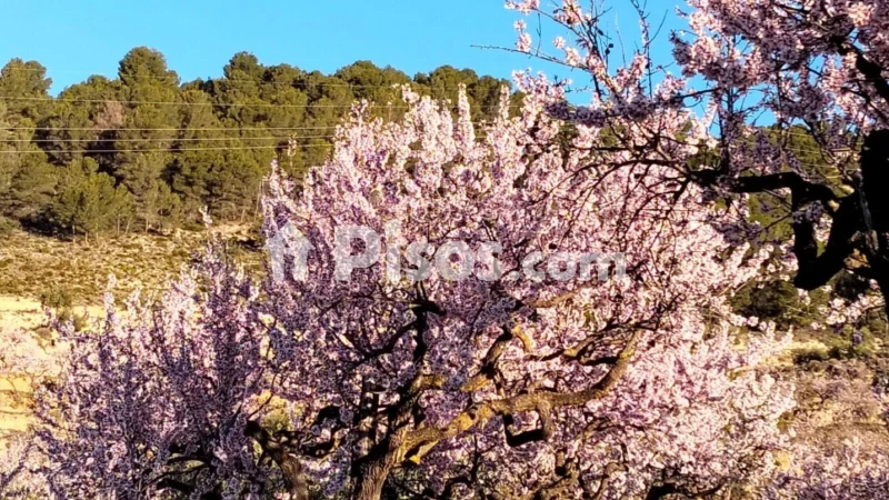 Terreno en venta en Comunidad Valenciana