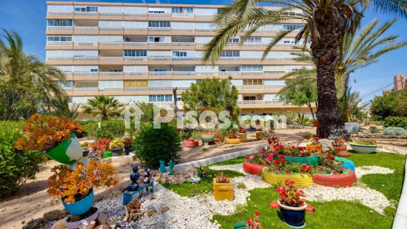 Piso – Torrevieja