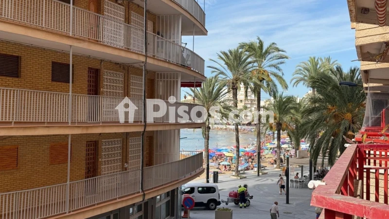 Pis – Torrevieja